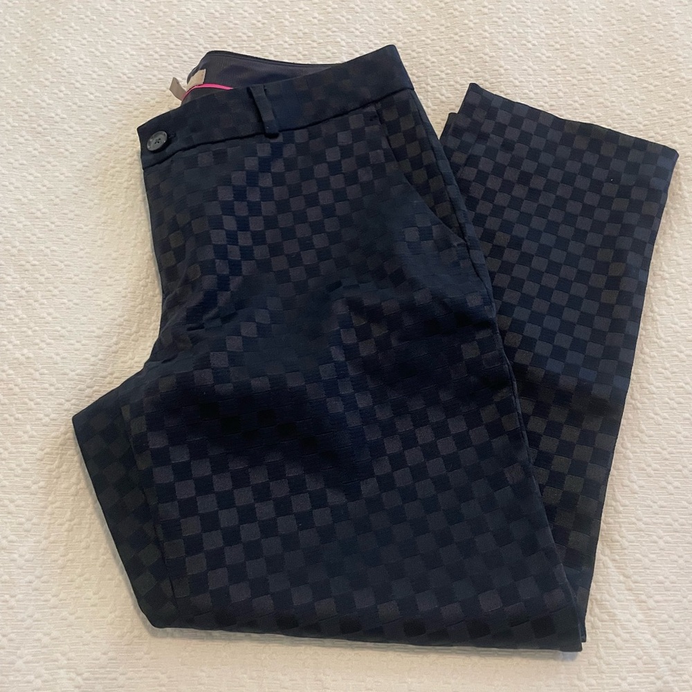 Banana Republic Hampton Pant